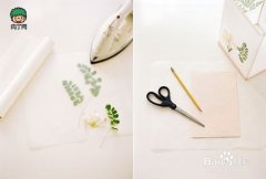 DIY手工制作植物压花蜡烛灯罩