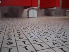 BSAD Foundations in the Visual Arts