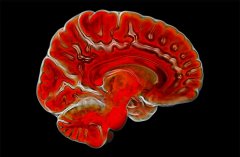 摄影师拍大自然迷人景色 美得窒息(组图)（9）