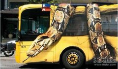 市区惊现巨蟒袭击公车 动物园巴士广告视觉太震撼
