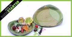 用树叶制作的一次性餐具