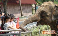 动物月饼DIY 为动物们送上独特的节日祝福