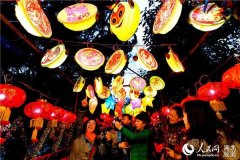 湖北武汉：居民自制万盏环保花灯闹元宵