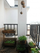 空中花园设计图片 把自然搬到自己家里去并不难