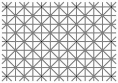 疯了：这张图片为何无法同时看到12个黑点