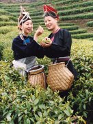 秀山丽水 养生福地 丽水欢迎您！