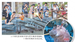 新增动物王国和亲子游乐世界，发展为多元化的旅游综合体