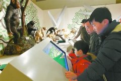 上海科技馆猴年生肖特展 解释孙悟空的原型是哪种