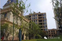 【美浓小镇】10月7日，披萨DIY！“塔罗牌”运势测算！即将欢乐开场！