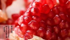 可羡瑶池碧桃树，石榴红颊一千年