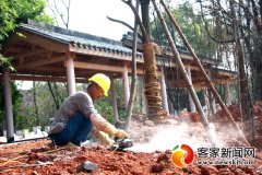 赣县“城市绿肺”将最好的视觉资源留给市民