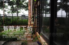 图片故事：智障者工坊(1)