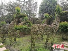 花木中国·编艺寿安 指尖上的花木艺术节在成都温江举行