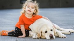 澳庆祝导盲犬日 展示导盲犬如何改变失明者生活