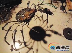 海经院老师何明眼给废铜烂铁二次“生命”