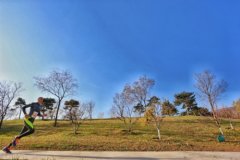 香山50超级越野赛在京开跑 与京西风景名胜融为一体