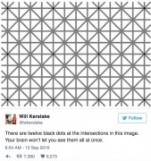 要疯了！这张图片为何无法同时看到12个黑点