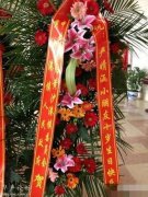 网曝江苏十岁小孩过生日当地政府送花篮贺喜