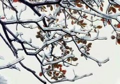 小鱼儿吃枣被酸到眯起眼睛 沙溢小儿子实在太可爱啦