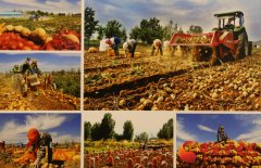 笔墨绘真情 心灵诉变迁——第四届“双联”行动和精准扶贫精准脱贫美术书法摄影剪纸作品展赏析（组图）