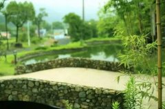 夏日炎炎 浙江六大消暑好去处都在这