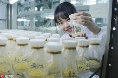 美女学霸“绘本笔记”走红 网友：堪称艺术品(图)