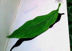 以假乱真：印度小哥创作3D错觉绘画（组图）