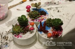 温暖冬日 中梁·吴越首府创意多肉&花式美甲DIY萌动来袭