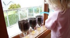 可乐瓶手工制作大全/可乐瓶DIY教程