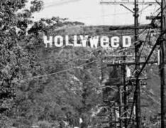 “HOLLYWOOD”新年遭恶搞 早就不是第一次了！
