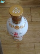 废旧酒瓶子还能做什么用？将废旧酒瓶改造成花盆的步骤图解╭★肉丁园艺网