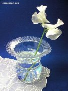 可乐瓶饮料瓶变废为宝DIY手工制作漂亮花瓶