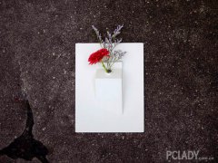 把春意搬到室内还不够 最主要的还是创意！