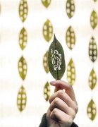漯河2名大学生树叶上雕刻出精美图案 想象力丰富