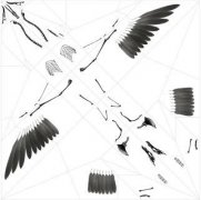 小山带你看：对折纸折出解剖结构透明模型