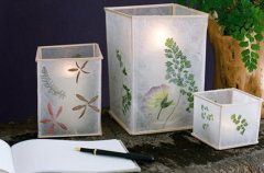 DIY手工制作植物压花蜡烛灯罩 小手工