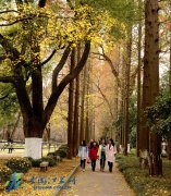 苏大校园风景“美如画”(组图)