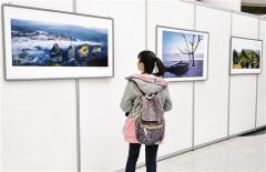 广西大画幅摄影作品展落幕 55幅精品凸显壮乡风情
