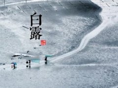 教你用英文来表达节气词汇：今日白露 秋意渐浓