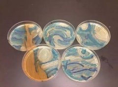 《星夜》再现：科学家利用DNA折纸术复活梵高名作