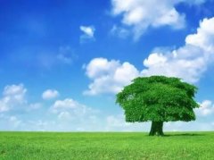 人要像树一样成长，成为路边最美的风景！