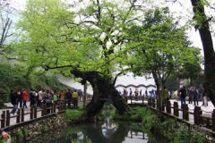 风景优美迷人眼 文化深厚令人醉