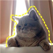 萌猫咪涂鸦头像_可爱无敌的涂鸦猫咪