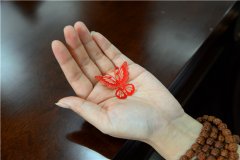 剪纸培训班 剪出传统感受快乐