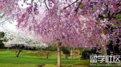 日本有哪些搞笑风俗习惯