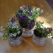 DIY回收塑料瓶用于花园装饰