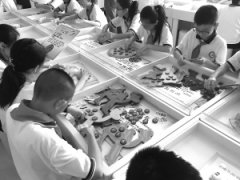 兰州城关区部分小学试点选修课“走班制”