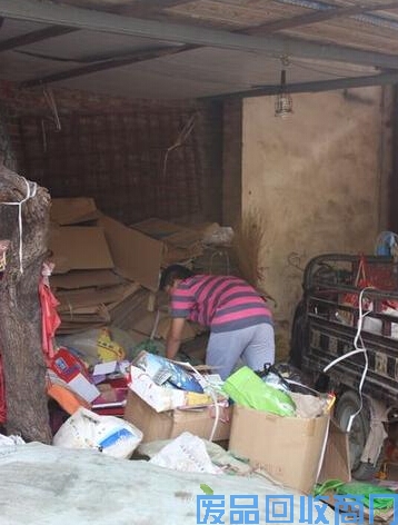 聊城废品堆里走出的大学生图