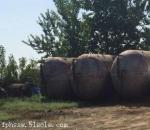 沈阳供应二手10吨\20吨油罐,柴油罐,储油罐,价格优惠