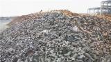今日沈阳废铁回收价格多少钱一吨